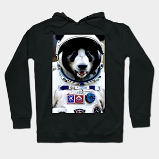 Panda as an astronaut Hoodie